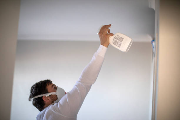 Best Crawl Space Mold Removal  in Prairie Du Chien, WI