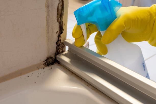 Best Residential Mold Removal  in Prairie Du Chien, WI